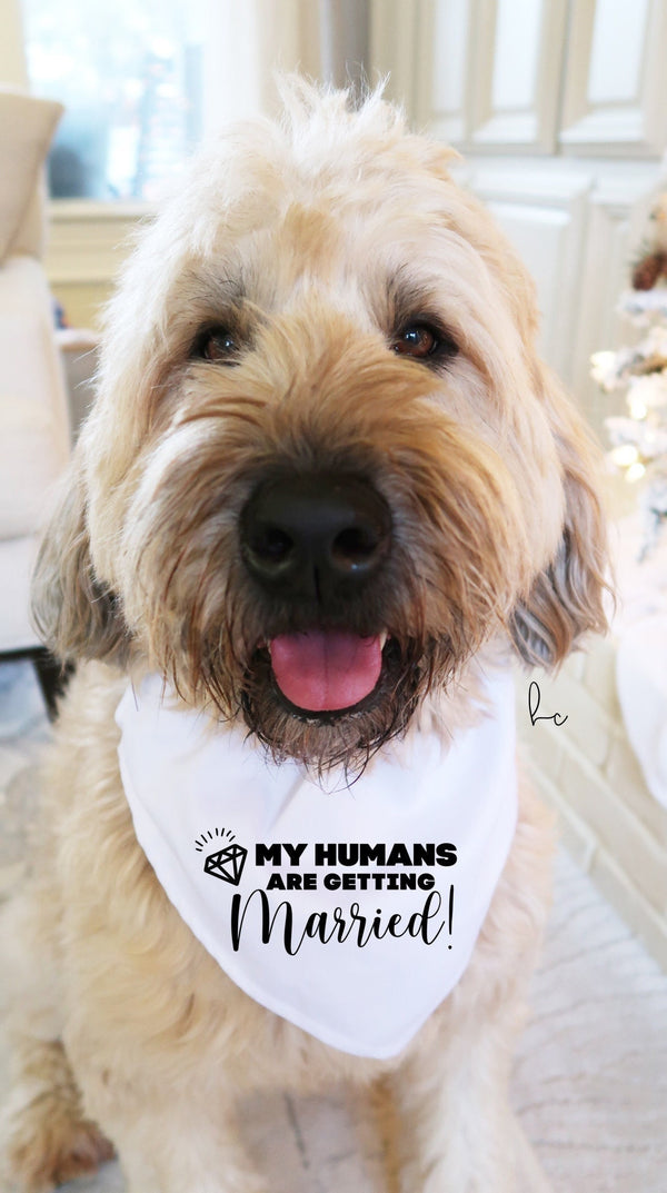 My humans are getting married dog bandana small medium large dog- engagement announcement for pet announcement dog mom dog wedding proposal
