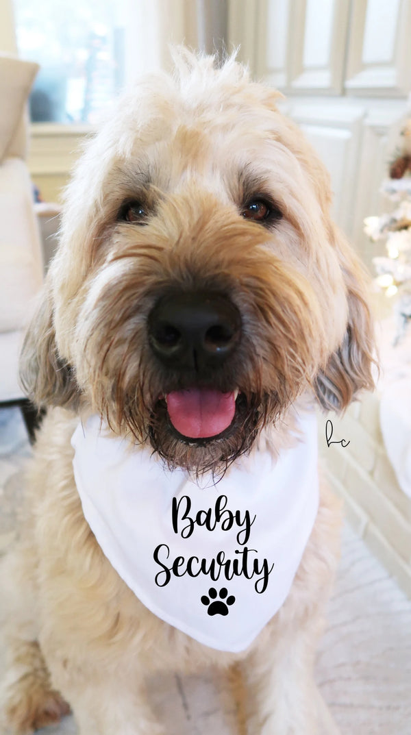 Baby security dog bandana my parents are getting me a human- baby announcement idea for dog- dog bandana for large medium small- pregnancy