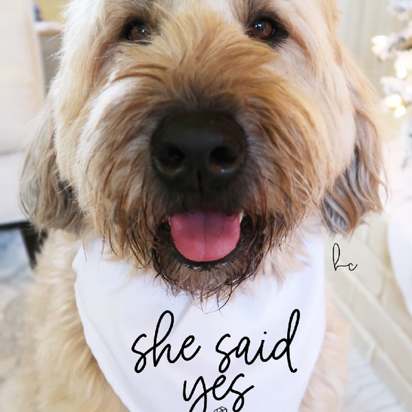 She said yes my humans are getting married dog bandana small medium large dog- engagement announcement for pet announcement dog mom dog